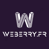 Stéphanie MICHEL web